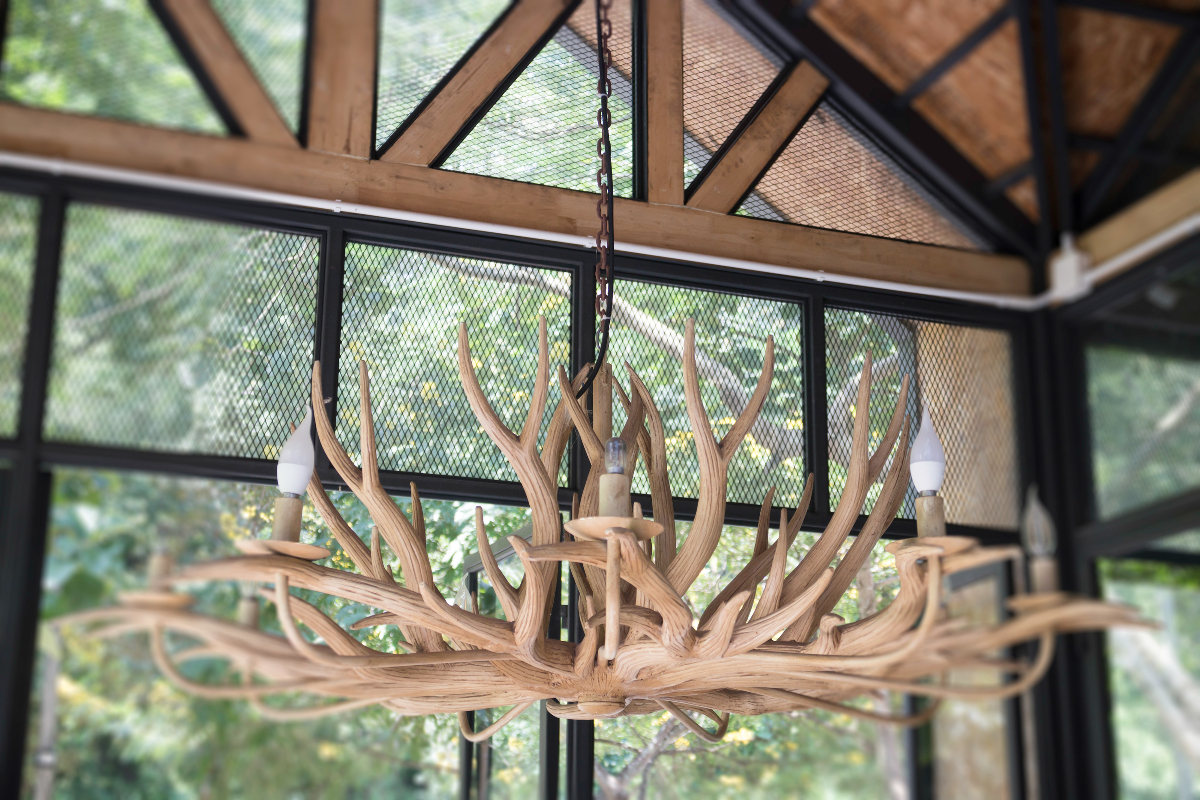 Antler chandelier decoration in a room to help illustrate what is a full service moving company.